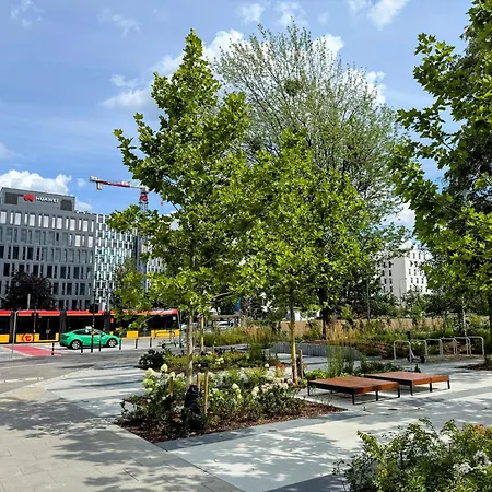 Domaris * Varsóvia